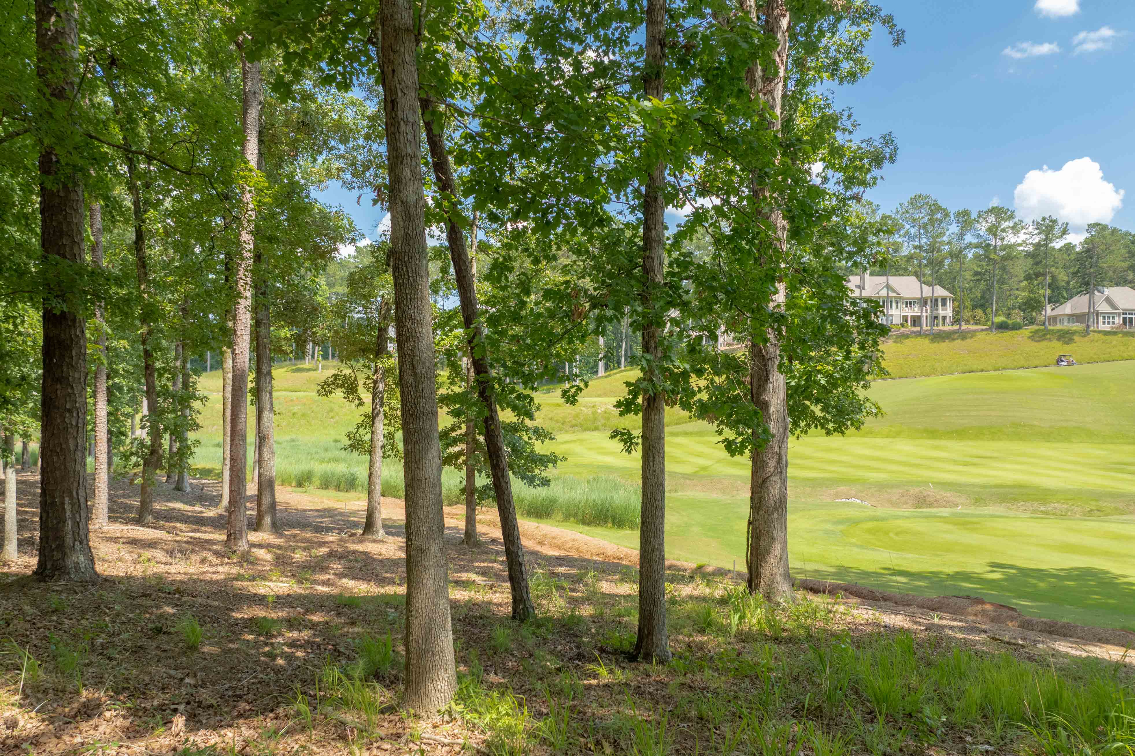 1000 Creek Bluff image 9